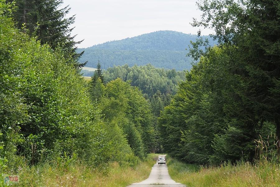 patatajka Tylicz - Izby