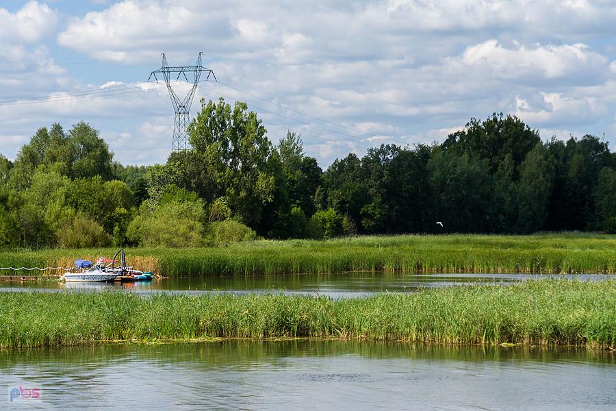 Zbiornik wodny "Poraj" i "Ptasia Wyspa" widziane z brzegu w miejscowości Kuźnica Stara.