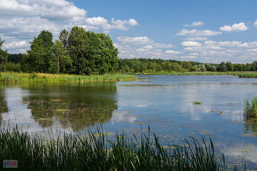 Kuźnica Stara