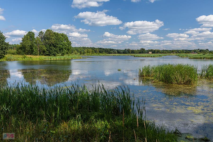 Kuźnica Stara