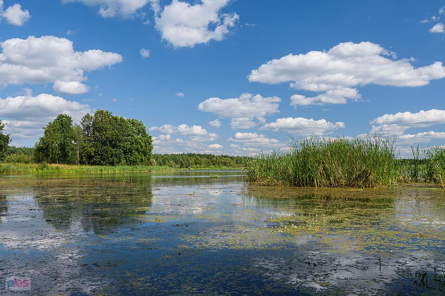 Kuźnica Stara