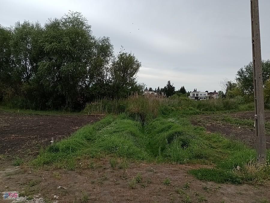 Za zaroślami jest staw