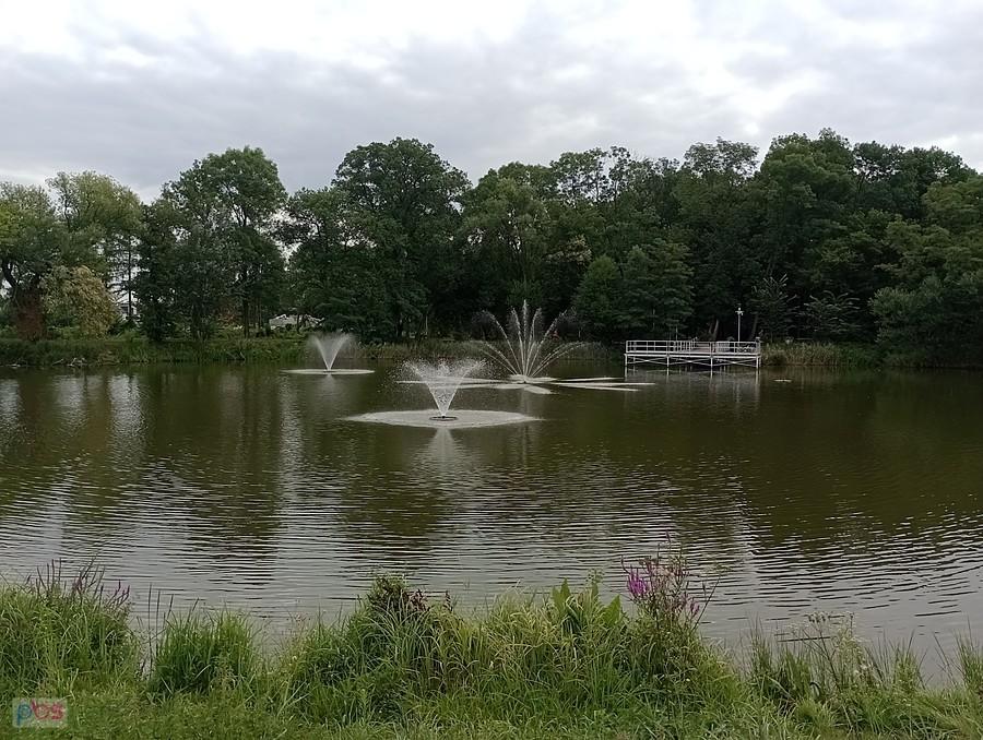 Staw w Ołtarzewie