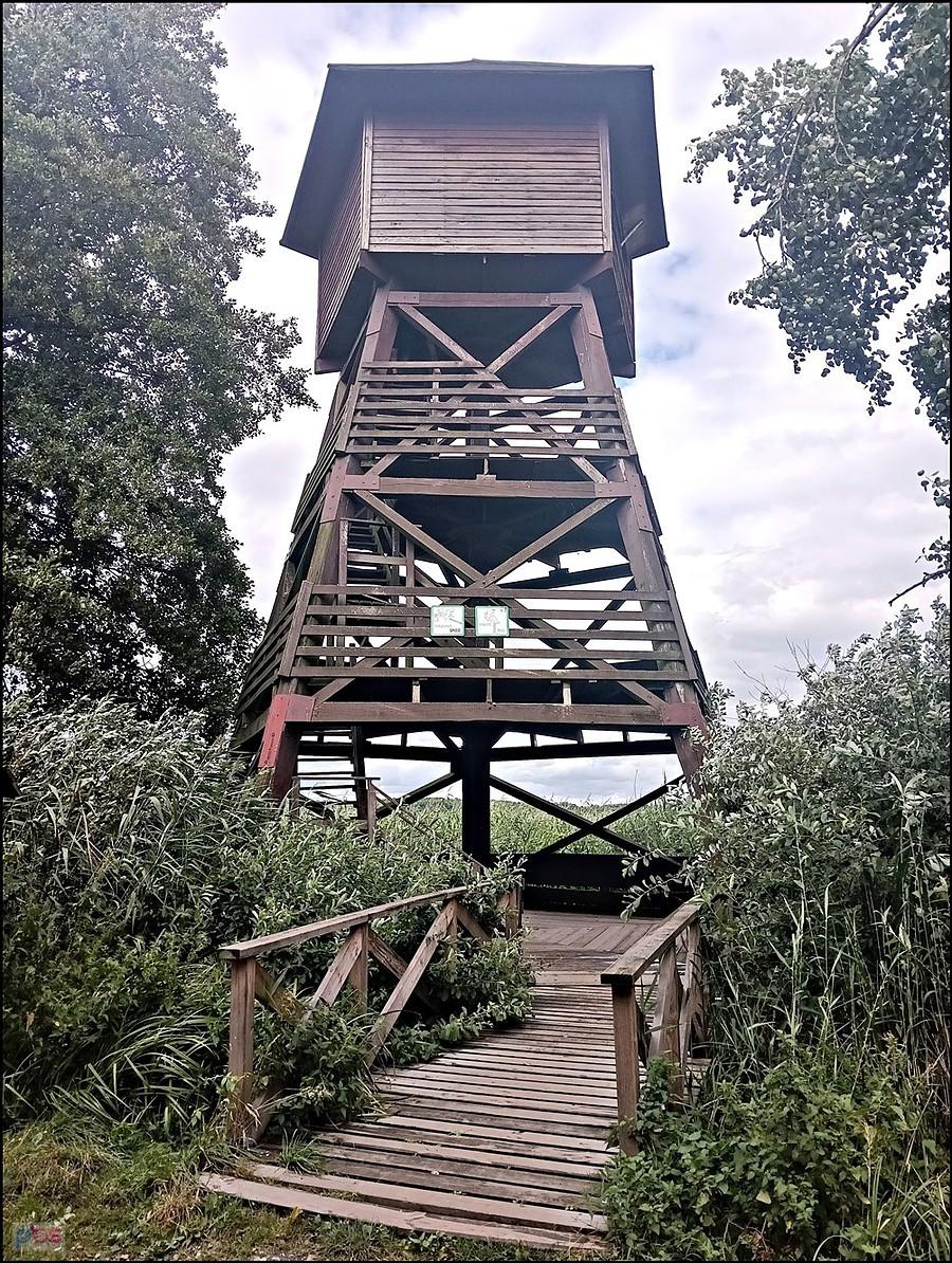 Grabownica wieża widokowa