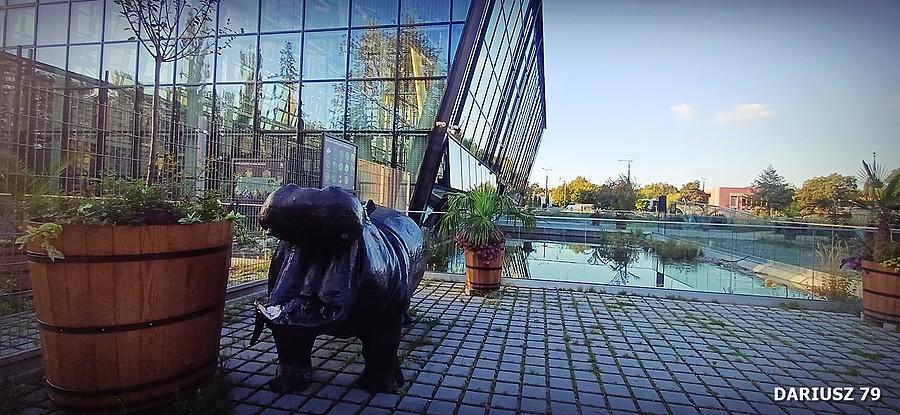 Sosnowiec - Egzotarium