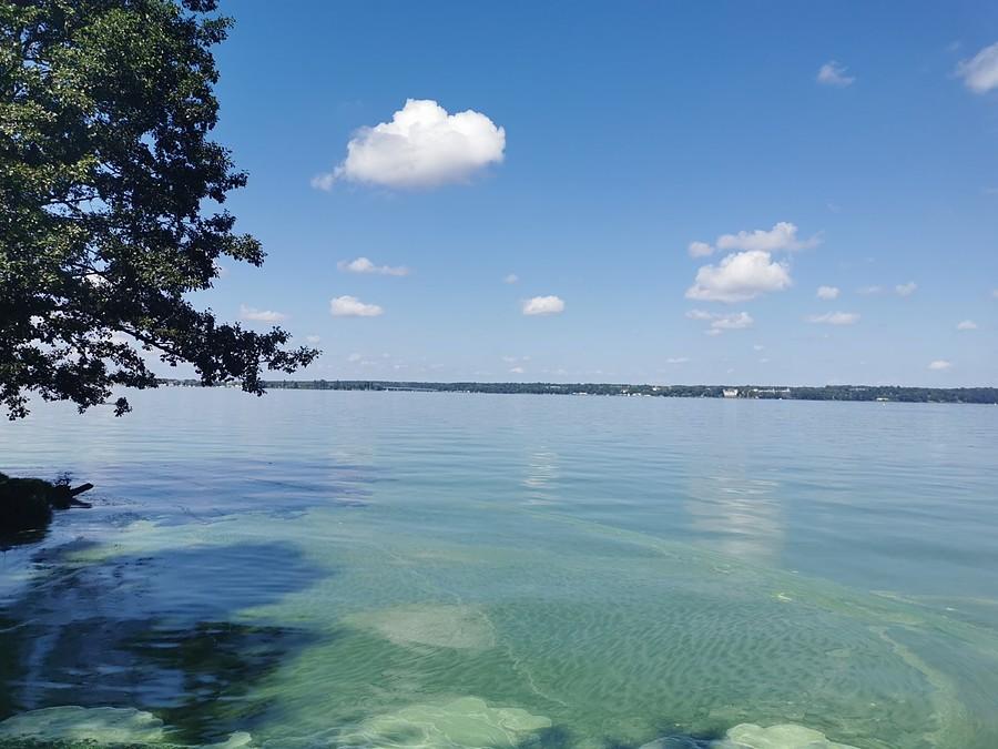 Zielona woda w Zalewie