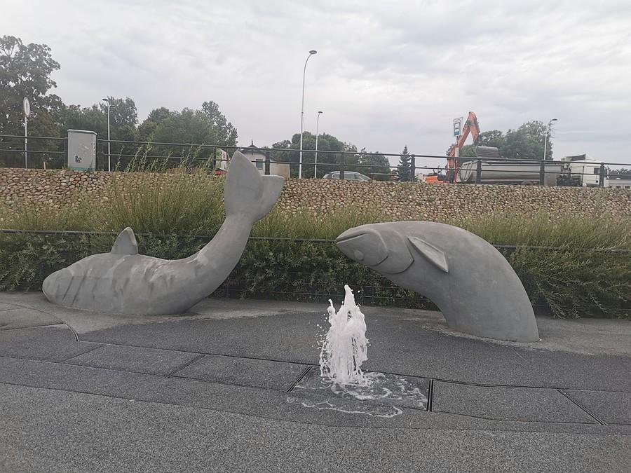 Wiślane delfinki