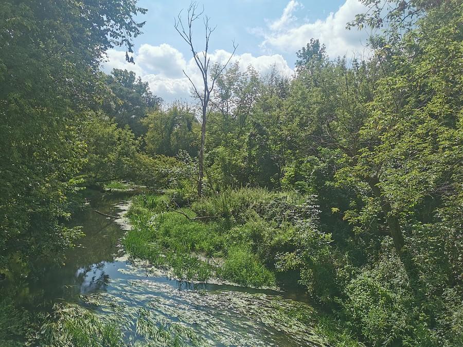Jeziorka w Piasecznie