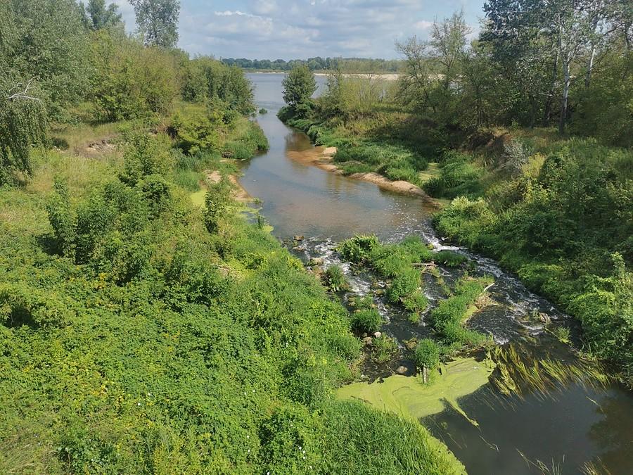Jeziorka w Obórkach