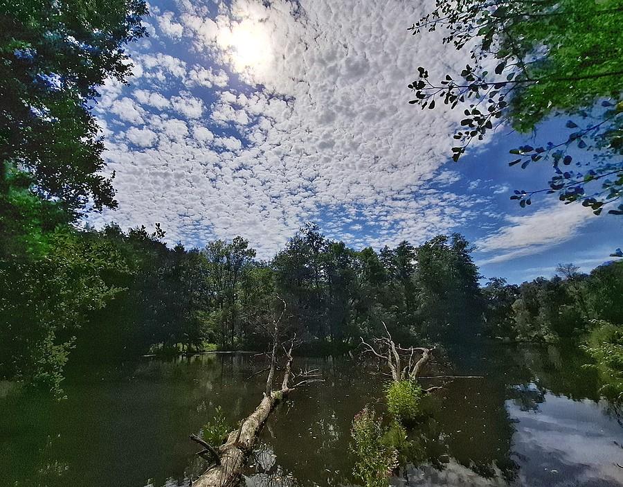 Piękne niebo nad Dębiną