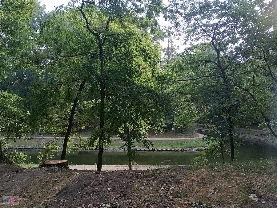 Fosa w parku na Forcie Bema