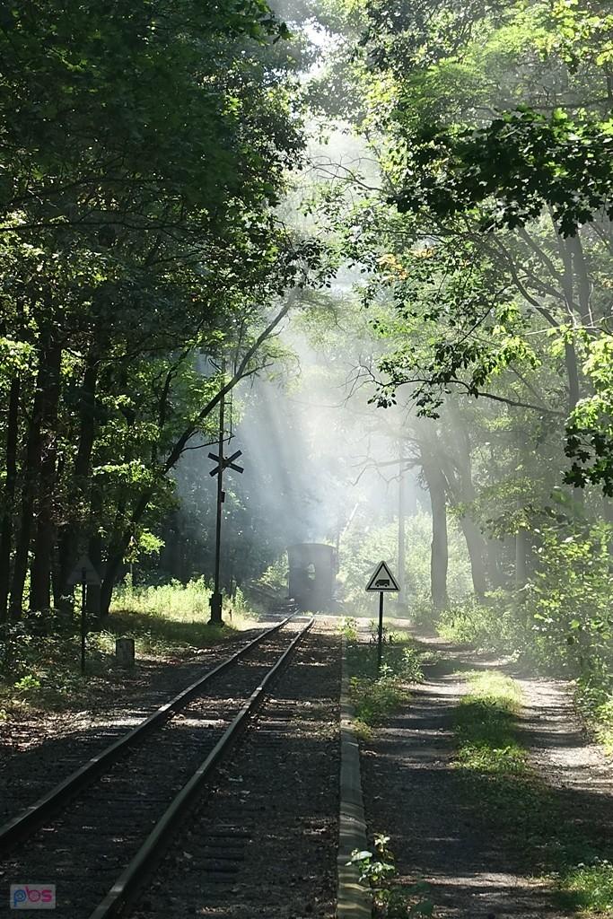 wąskotorówka w Rudach