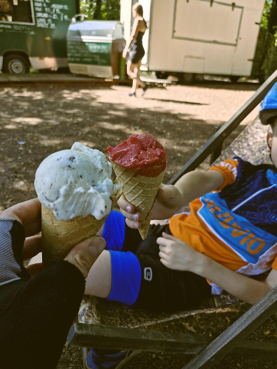 Lody w Żmigordzie