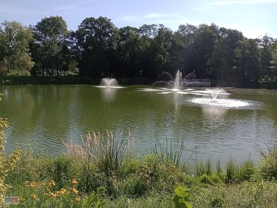 Staw w Ołtarzewie