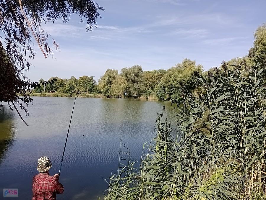 Staw w Zielonkach