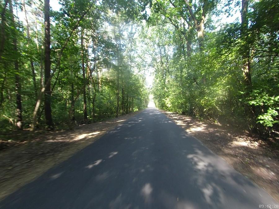 Majora Jacka Decowskigo, Kwirynów