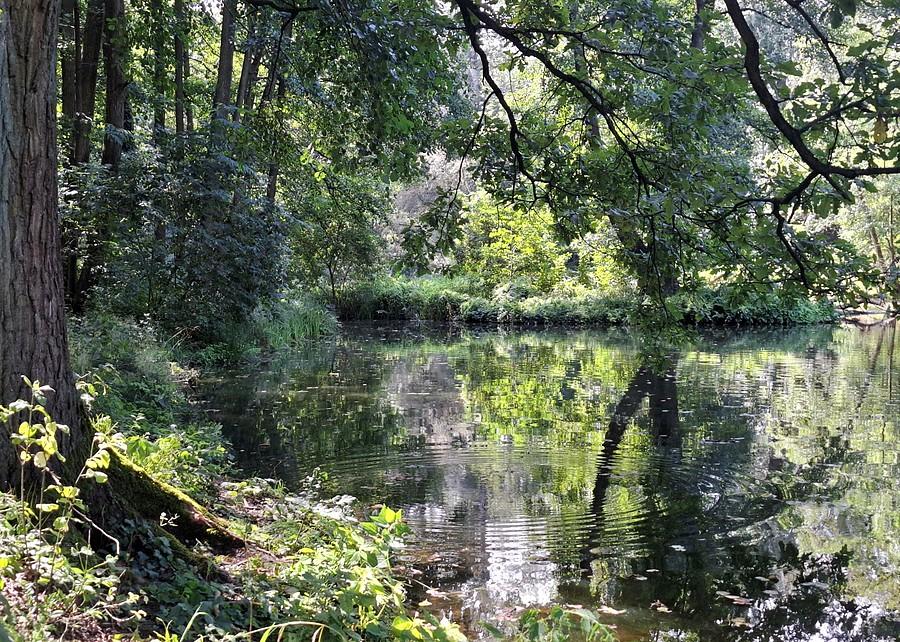 Piękno poznańskiej Dębiny