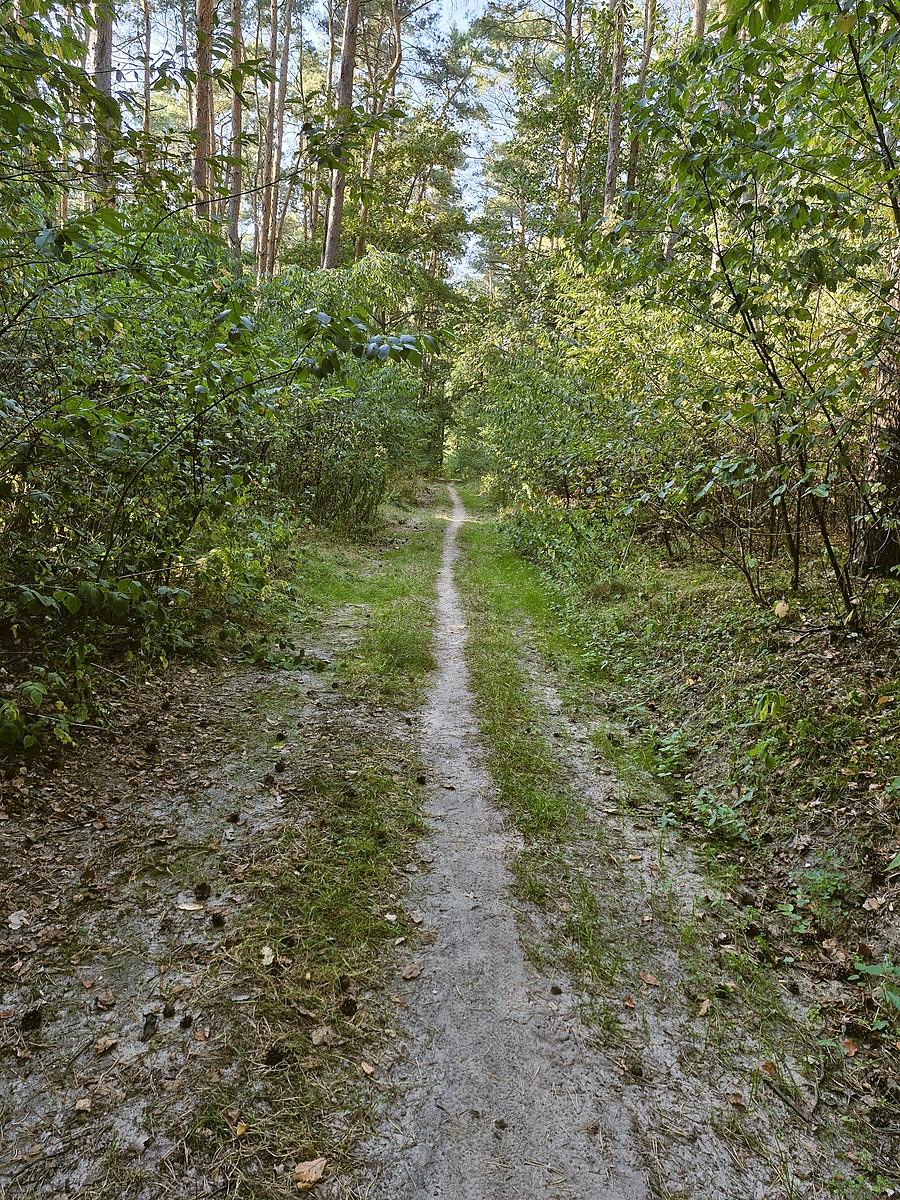Szlak im. Ryszarda Walerycha