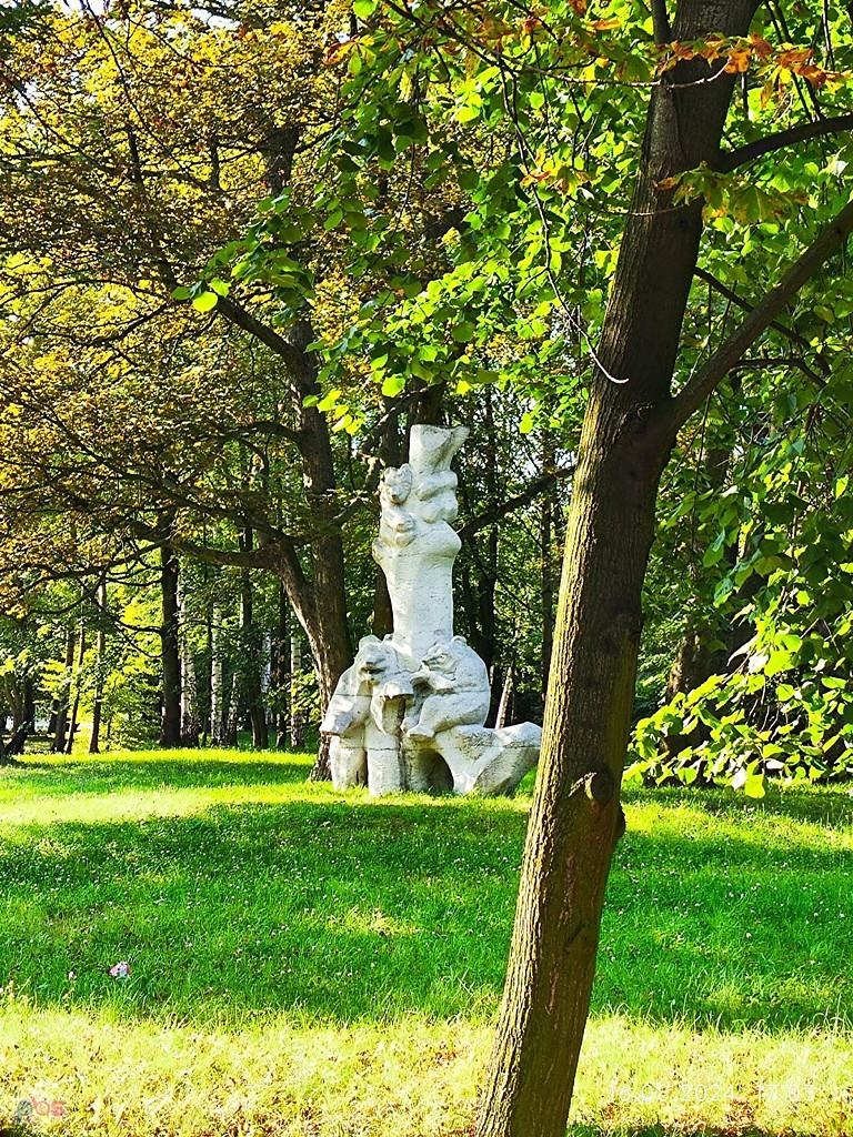 misie na ul. Wrocławskiej