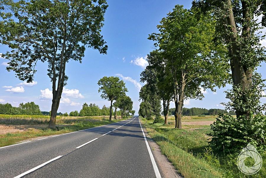 S74 na wschód od Kielc