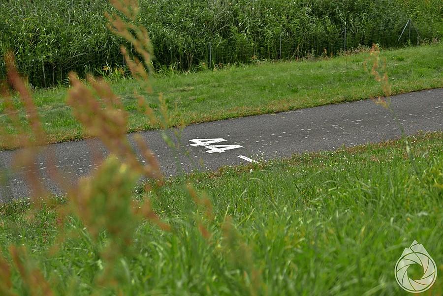 Oderradweg ma numerowane kilometry trasy