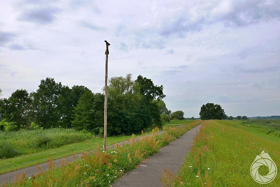 Oderradweg i przycupnie dla rybołowów