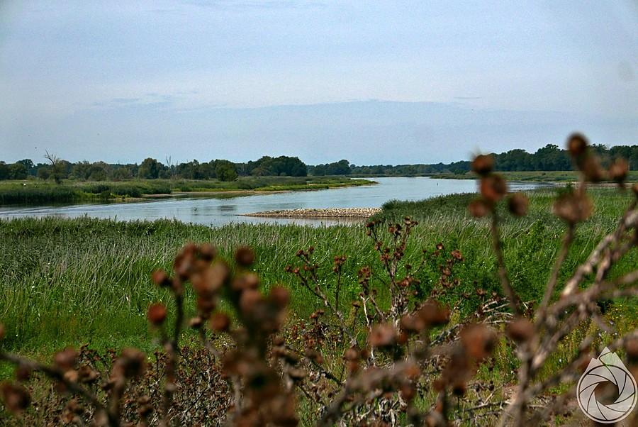 Odra spod Twierdzy Kostrzyn