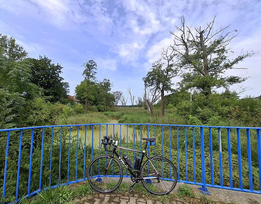 Rowerówka z Trzcielina
