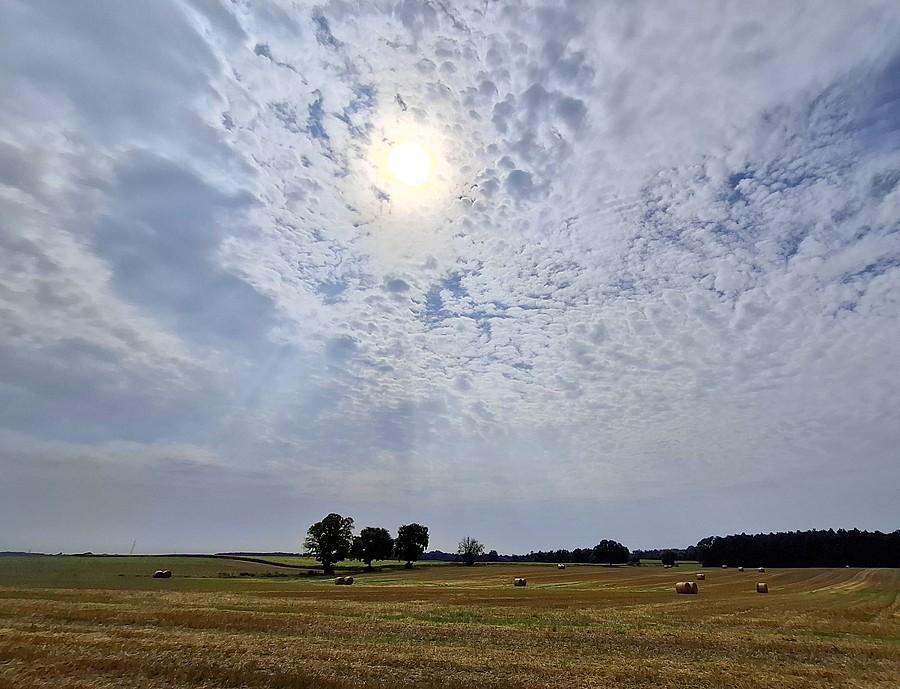 Słońce nad Lisówkami