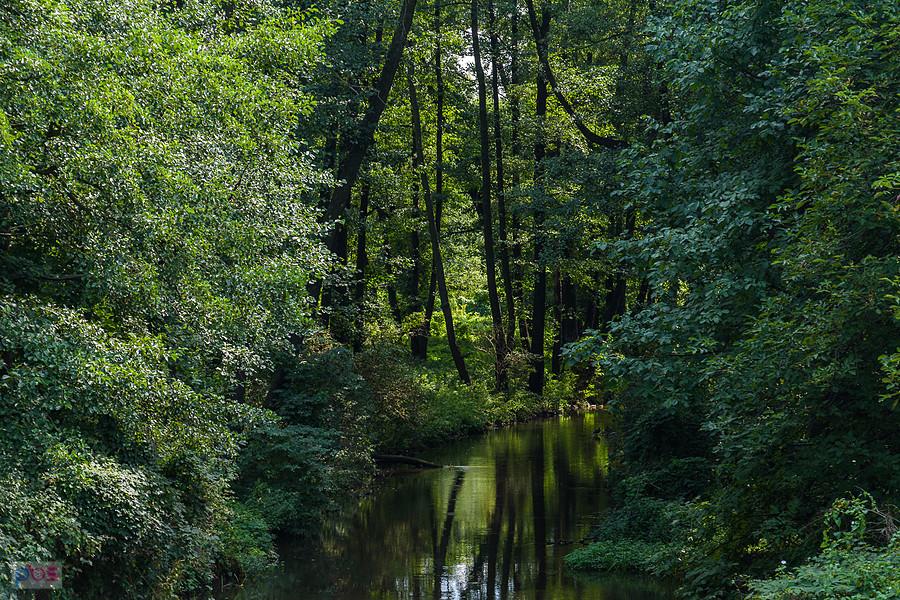 Warta widziana z mostu na ul. Kucelińskiej