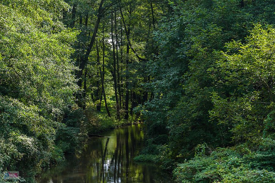 Warta widziana z mostu na ul. Kucelińskiej