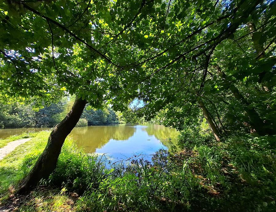 Sierpień na Dębinie
