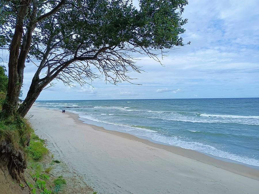 Cudownie pusta bałtycka plaża.