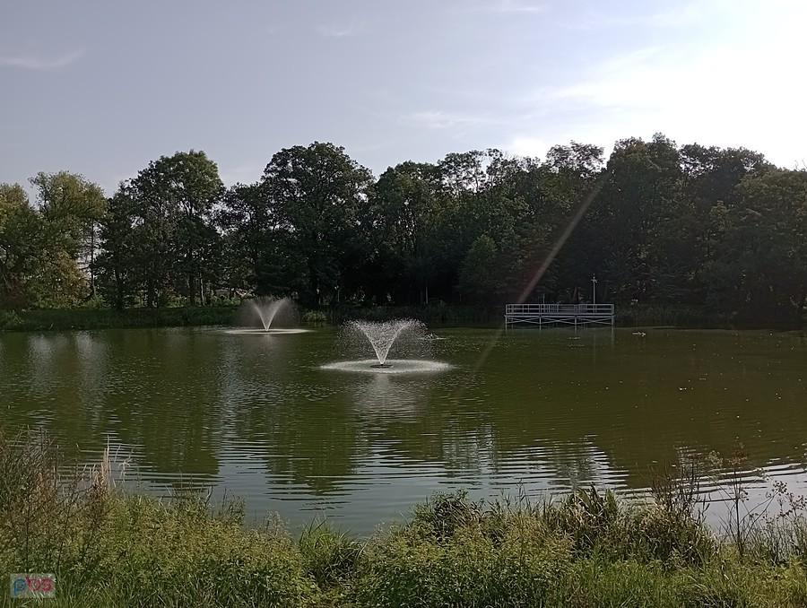 Staw w Ołtarzewie