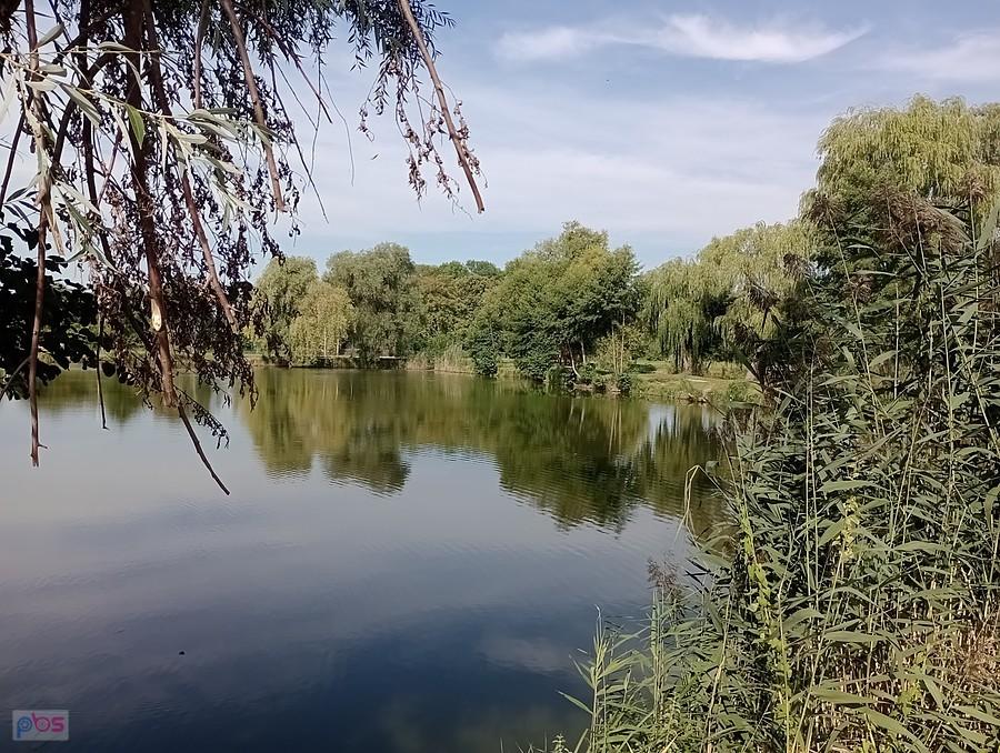Staw w Zielonkach
