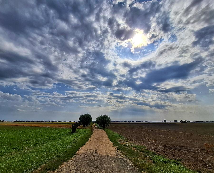 Landszaft z Konarzewa