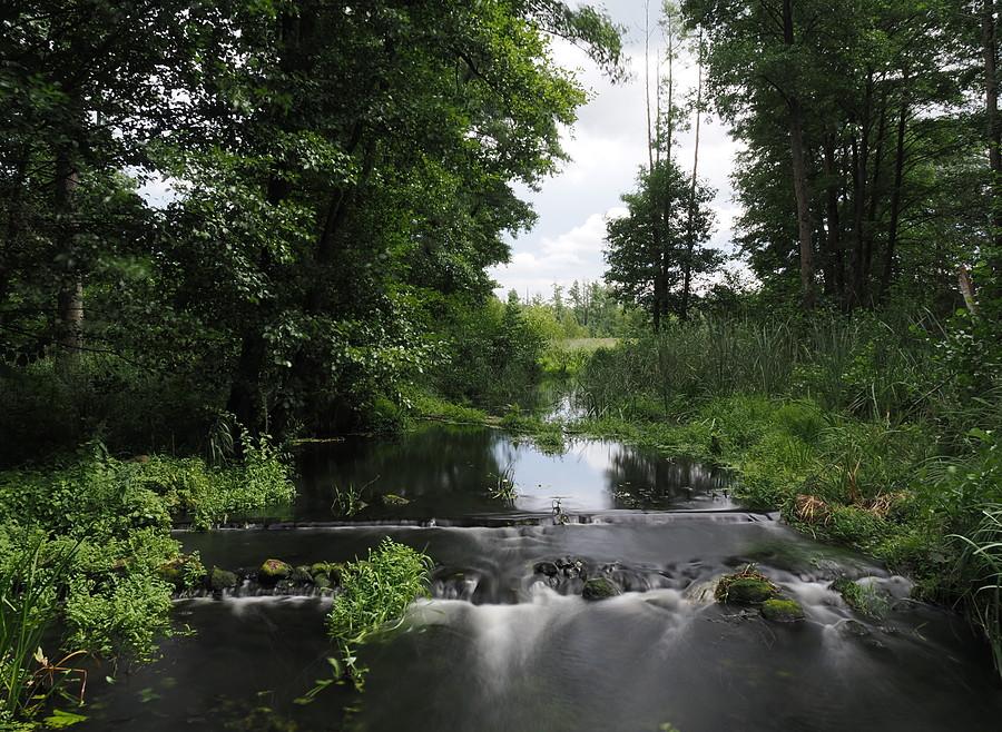Ilanka pod Starościnem