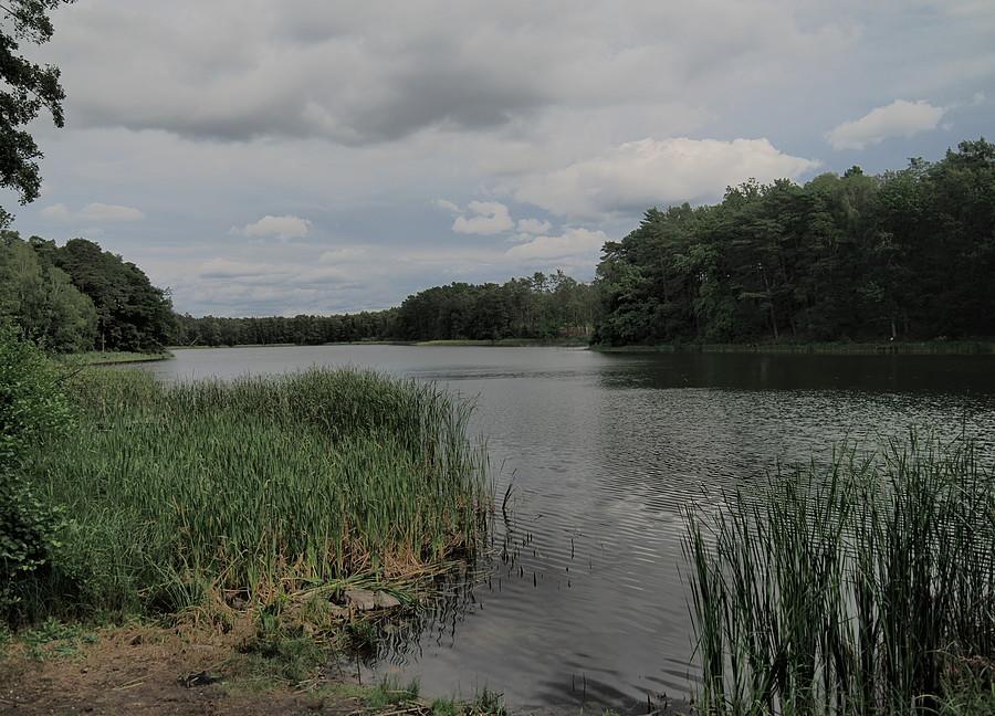 Jezioro Rzepsko