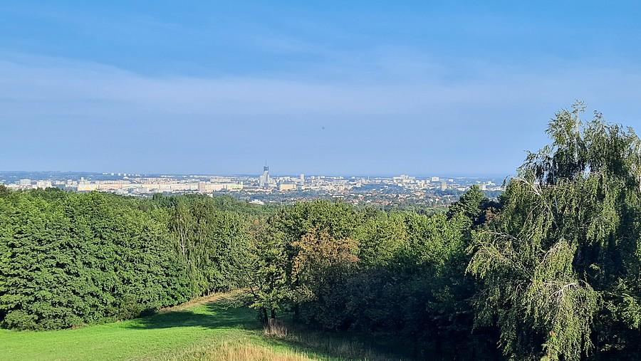 Rzeszów z Rocha o poranku.