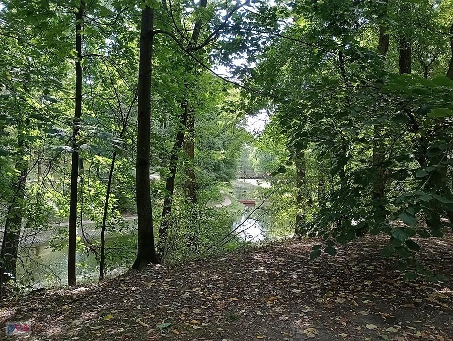 Fosa w parku na Forcie Bema