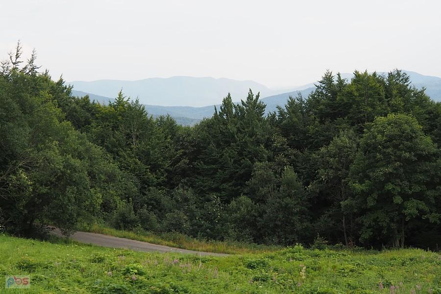 widok na Słowację z Przełęczy nad Roztokami