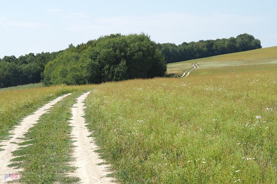 terenem do sąsiedniej doliny