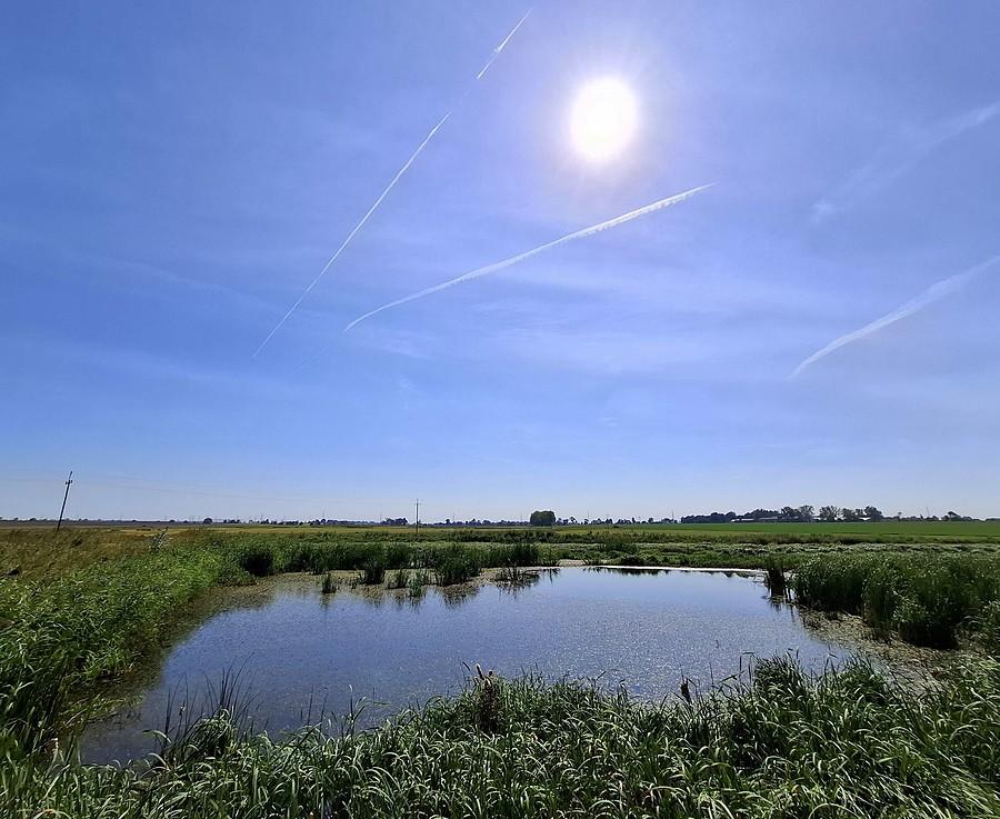 Słoneczko nad Szczodrzykowem