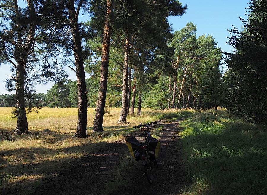 Leśno - polna droga ze Starkowa do Radówka