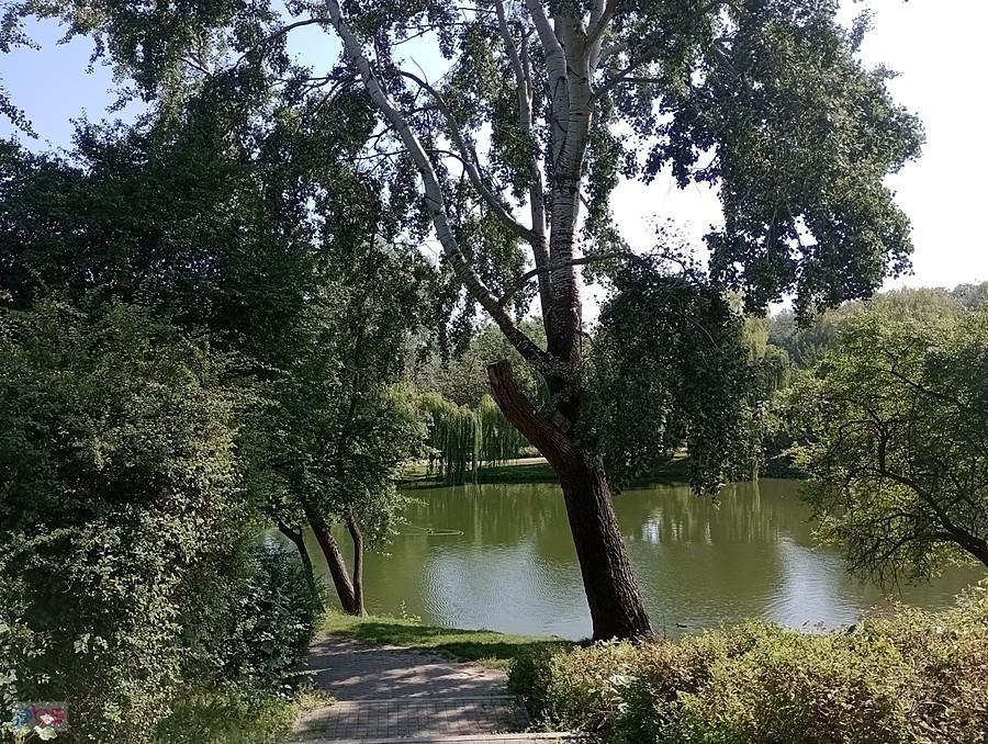 Park Moczydło
