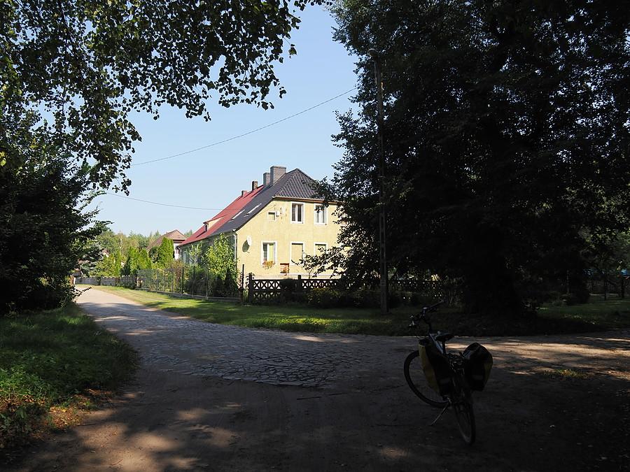 Rzepinek