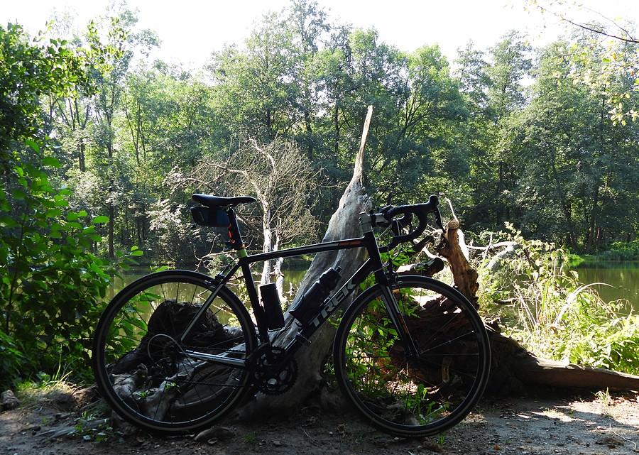 Rowerówka jak zwykle z Dębiny