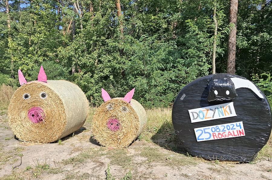 Trio ze Świątnik