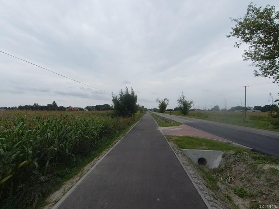 Droga Podkampinos - Kampinos