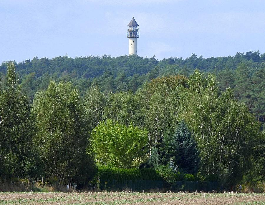 Dziewicza Góra